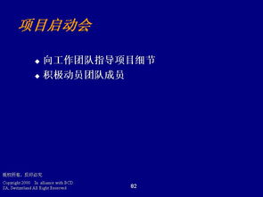 德勤管理咨詢 程序、技能與ERP100企業(yè)信息化知識(shí)門(mén)戶