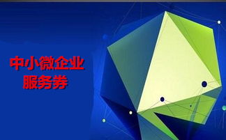 300萬(wàn)元額度來(lái)襲 中小微企業(yè)信息技術(shù)咨詢服務(wù)券火熱申領(lǐng)中